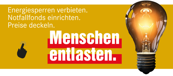 Mit einem Klick zur Kampagne von DIE LINKE.