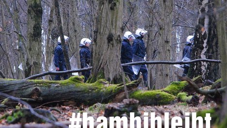 hambi.jpg