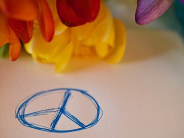 Das Foto zeigt ein Peacezeichen, das mit Kugelschreiber auf ein Blatt Papier gemalt worden ist. 