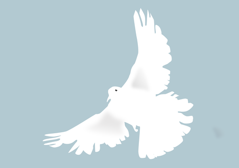 Das Foto ist eine Illustration einer weißen Taube als Symbol für den Frieden.