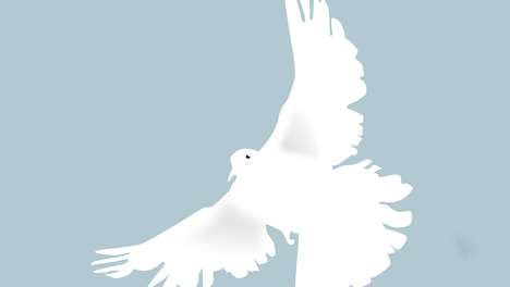 Das Foto ist eine Illustration einer weißen Taube als Symbol für den Frieden.