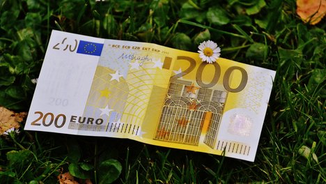 Das Foto zur Pressemitteilung der Linken NRW zur Forderung eines Corona-Zuschlags für Menschen mit geringem Einkommen zeigt einen 200-Euro-Schein, der auf einer Wiese liegt.