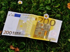 Das Foto zur Pressemitteilung der Linken NRW zur Forderung eines Corona-Zuschlags für Menschen mit geringem Einkommen zeigt einen 200-Euro-Schein, der auf einer Wiese liegt.