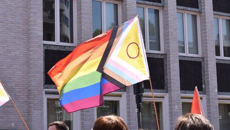 Dekoratives Bild zur Pressemitteilung von DIE LINKE NRW anlässlich des des Internationalen Tages gegen Homo-, Bi-, Inter- und Transphobie (IDAHOBIT).