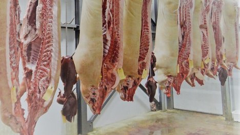 Das Foto zur Erklärung "Fleischindustrie - Arbeitskräfte besser schützen" zeigt aufgehängte Schweinehälften