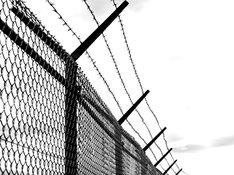 barbed-wire-1589178_1920.jpg