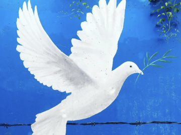 Das Foto zeigt ein Graffito einer Friedenstaube.