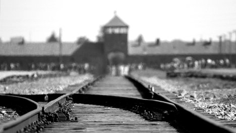 Das Foto zeigt Gleise zum KZ Auschwitz.