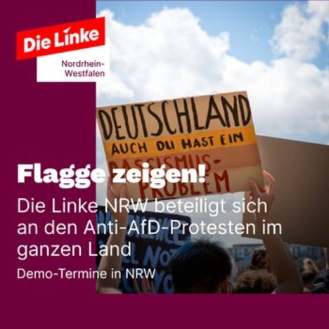 Flagge zeigen: DIE LINKE. NRW beteiligt sich an den Anti-AfD