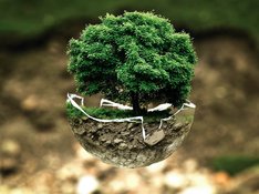 environmental-protection-683437_1280.jpg